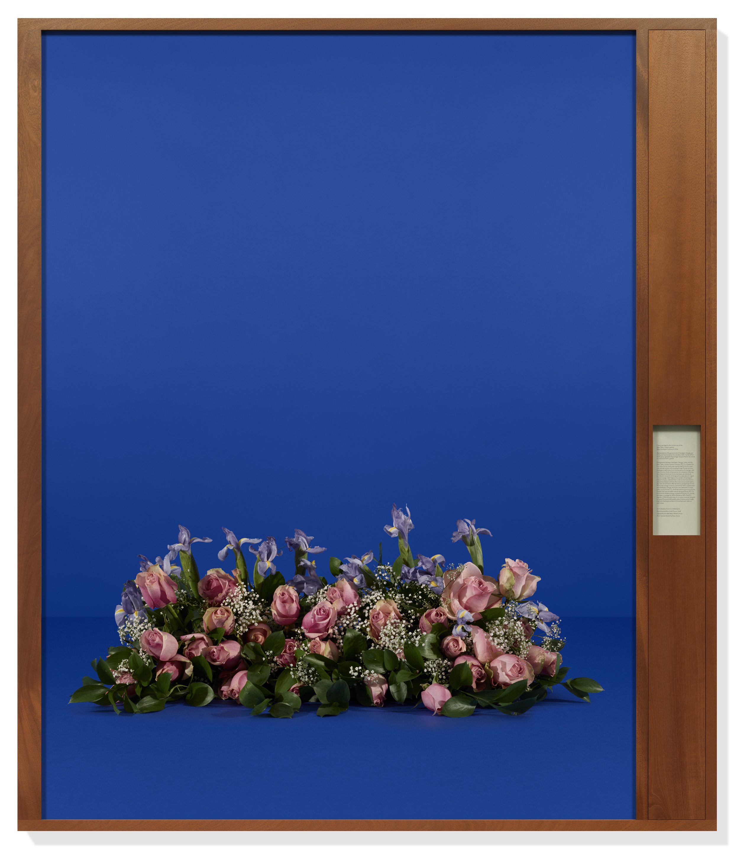 TARYN SIMON | PAPERWORK AND THE WILL OF CAPITAL στη Gagosian