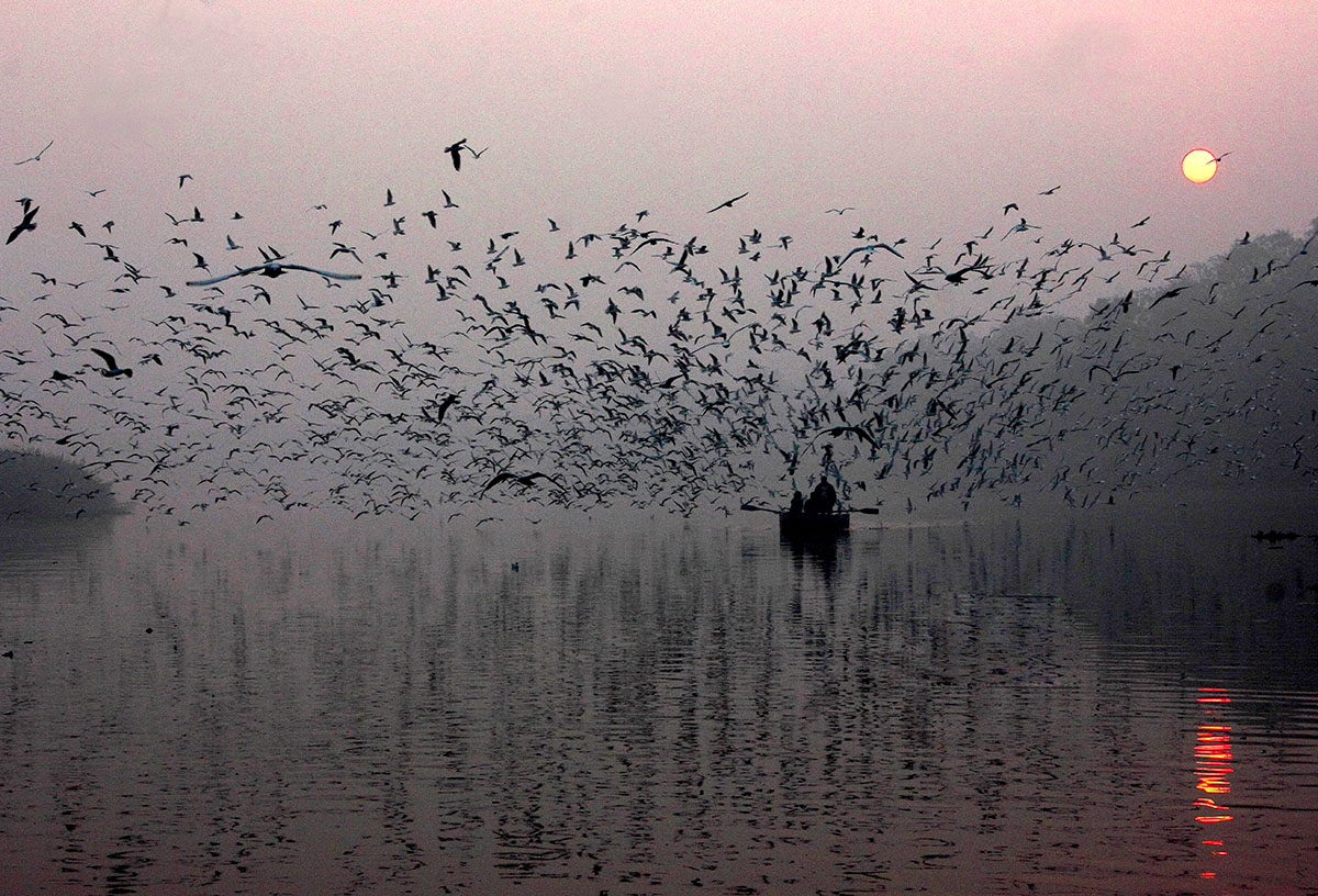 Hitesh Sharma # India