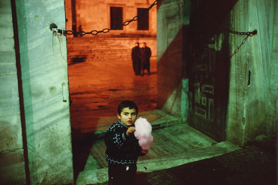 Alex Webb
