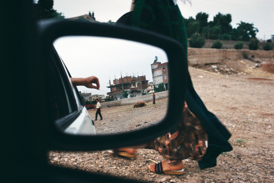 Alex Webb