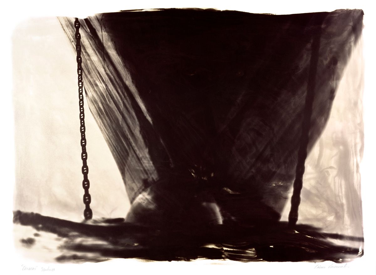 © Cassio Vasconcellos
