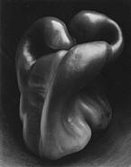 Edward Weston, pepper #30, 1930