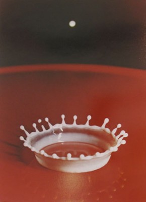 Milk drop Coronet, 1957, by Dr E. Harold