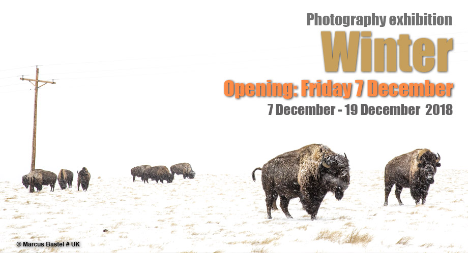 Θεματική έκθεση φωτογραφίας “Winter” στη Blank Wall Gallery
