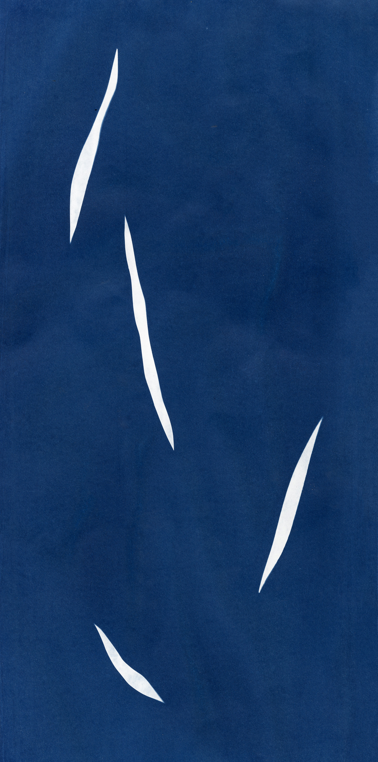 YIAW_EllieTsatsou_IrisGallerie – Works