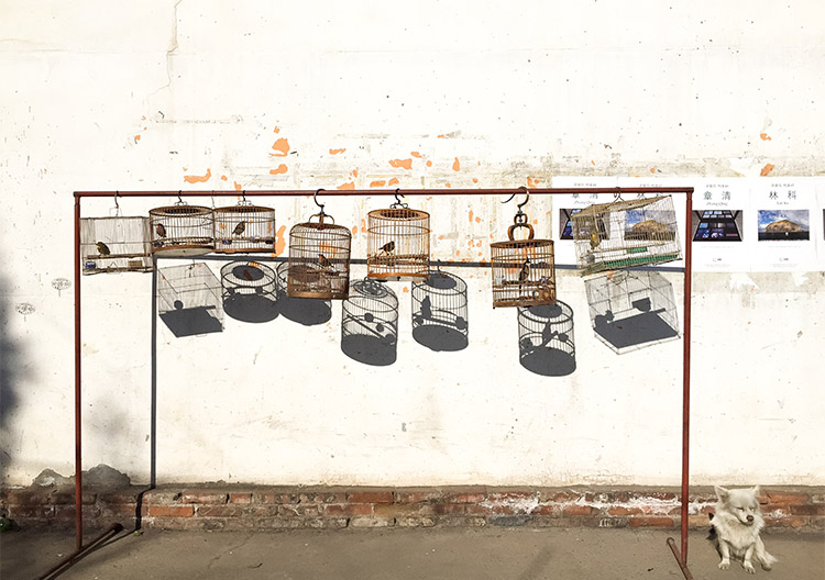 Chania International Photo Festival, Φωτογραφικός Μαραθώνιος