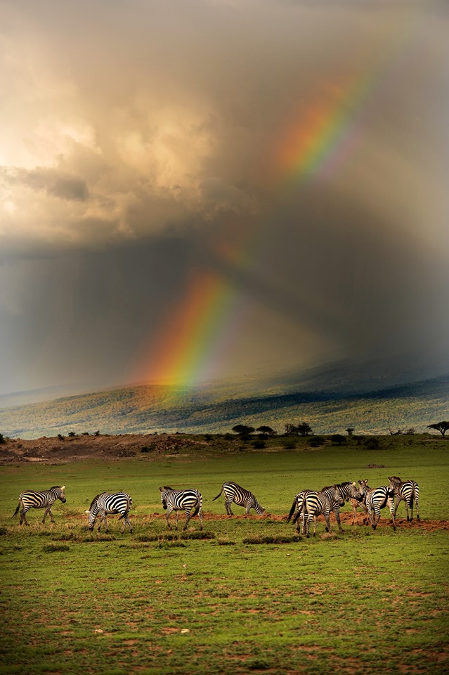 Tanzania – Photo workshop με την Μάρω Κουρή