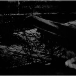 Alex Papaioannou "forgotten negatives 010"