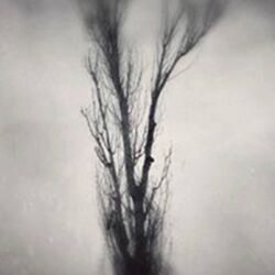 Alex Papaioannou "forgotten negatives 021"