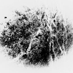 Alex Papaioannou "forgotten negatives 041"