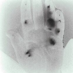 Alex Papaioannou "forgotten negatives 051"