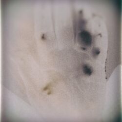 Alex Papaioannou "forgotten negatives 052"