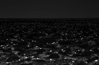 Location: Little Rann of Kutchh,Gujarat.
"While driving through monotonous terrain of Little Rann of Kutchh ,except for flat saltpans nothing visible for kilometers together. In this dry landscape , small water -bodies drive the existence of all life. While driving through here, we came across this nesting site of Lesser Flamingoes that was abandoned due to a failure in the monsoons and the subsequent drying up of the marshes. Failed monsoon also means early early arrival of salt pan workers near the nesting site..Which also is added reason of birds abanding the nests.There were thousands of eggs sitting atop little mud mounds in this lifeless landscape – a sight that engenders awe and horror at the same time.